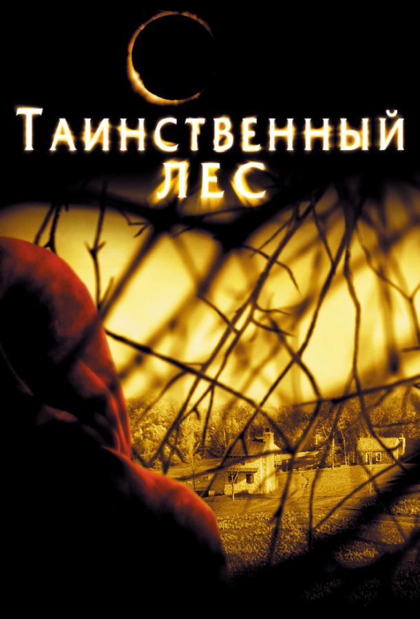 Фильм Таинственный лес (2004) смотреть онлайн в хорошем качестве